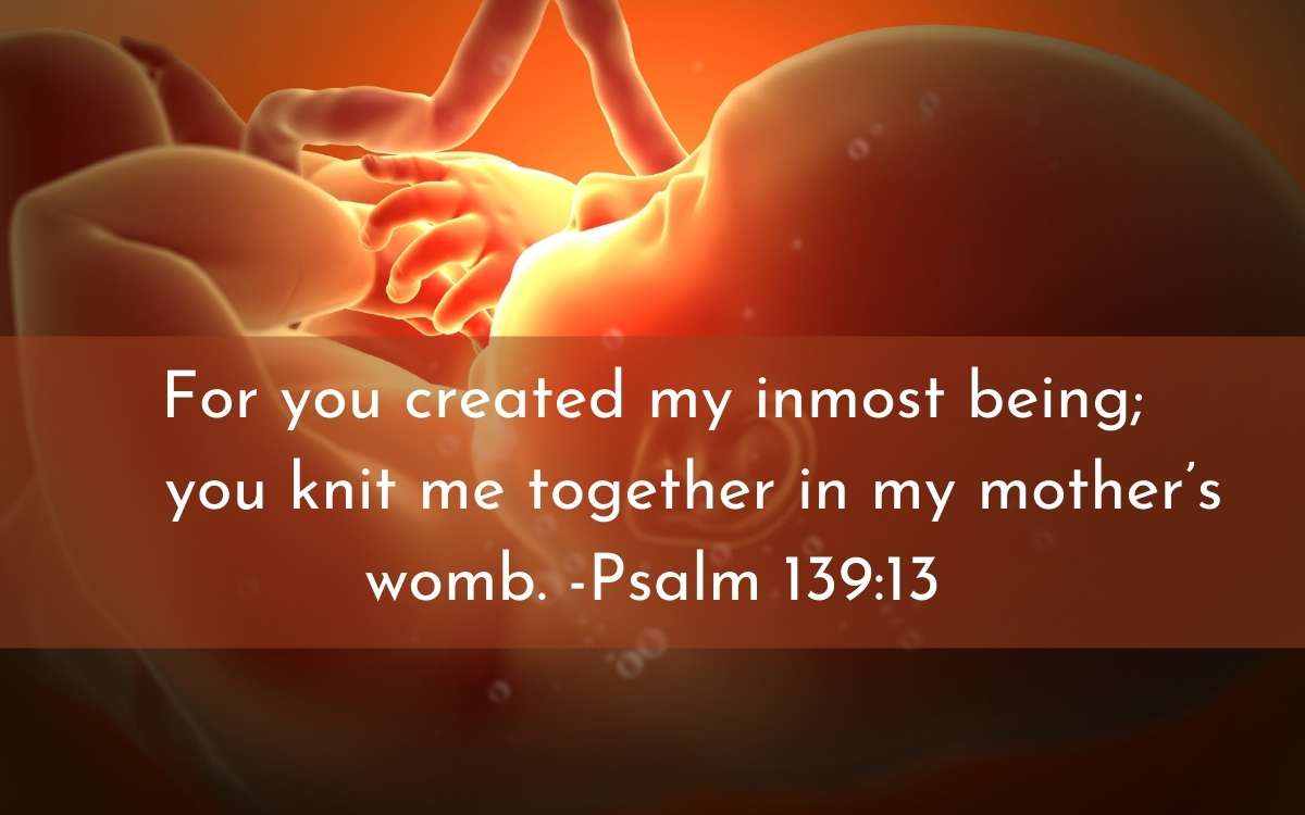 Why Is It Important To Pray For Babies In The Womb?