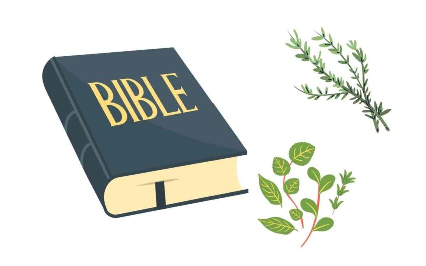 Herbs In The Bible: The Health Benefits