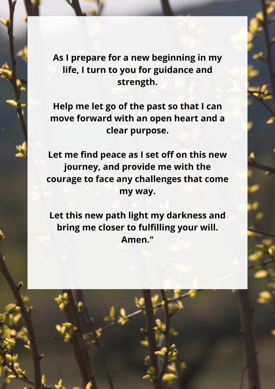 Prayer For New Beginnings And Fresh Start