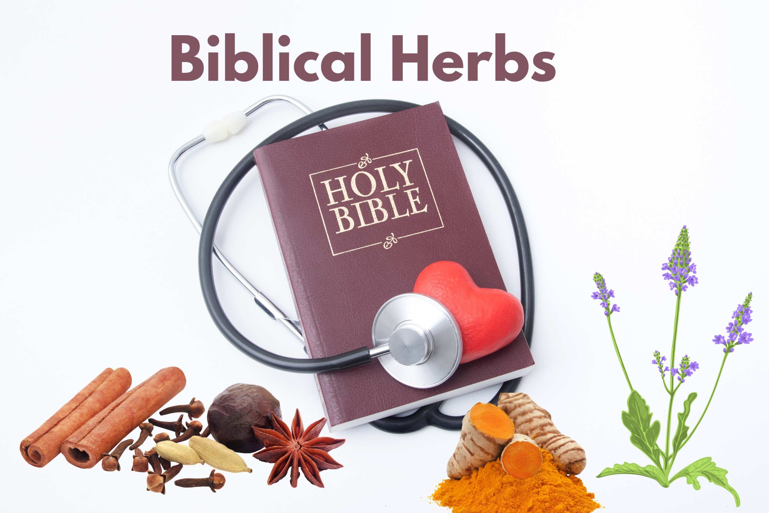 8 Biblical Herbs For Healing Wisdom Supplement